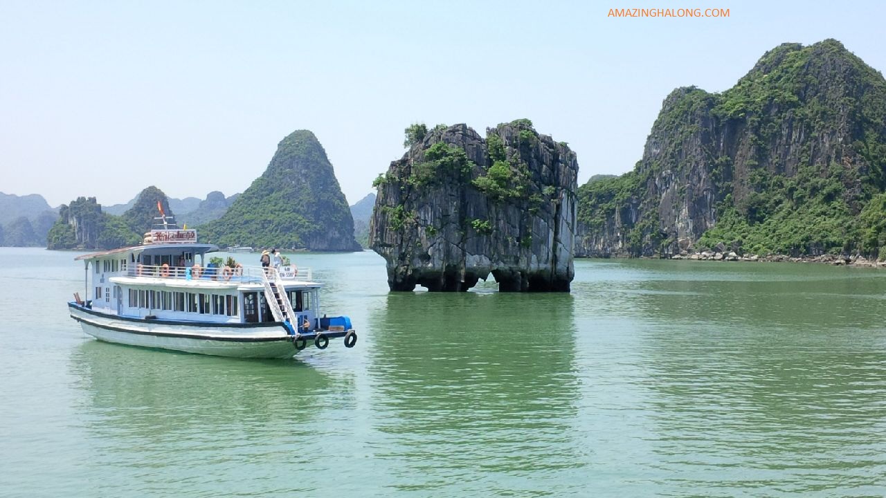 HALF DAY CRUISE HALONG BAY