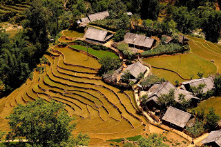 Far North Vietnam icl Hanoi - Sapa - Ha Giang - Halong Bay 12 D/11N