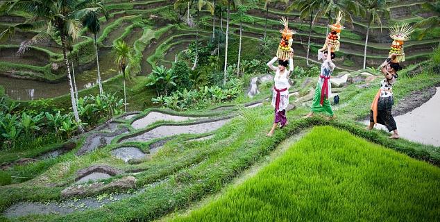 Bali Travel Info