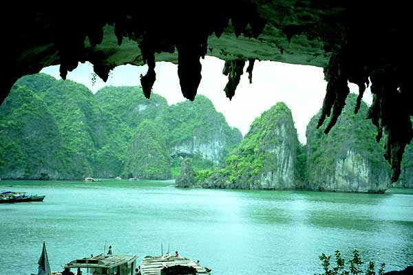 Bo Nau Cave Halong