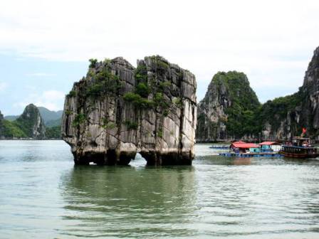 Tại sao có tên Hang Đầu Gỗ